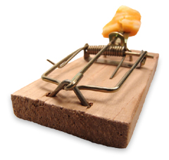 mousetrap mousetrap